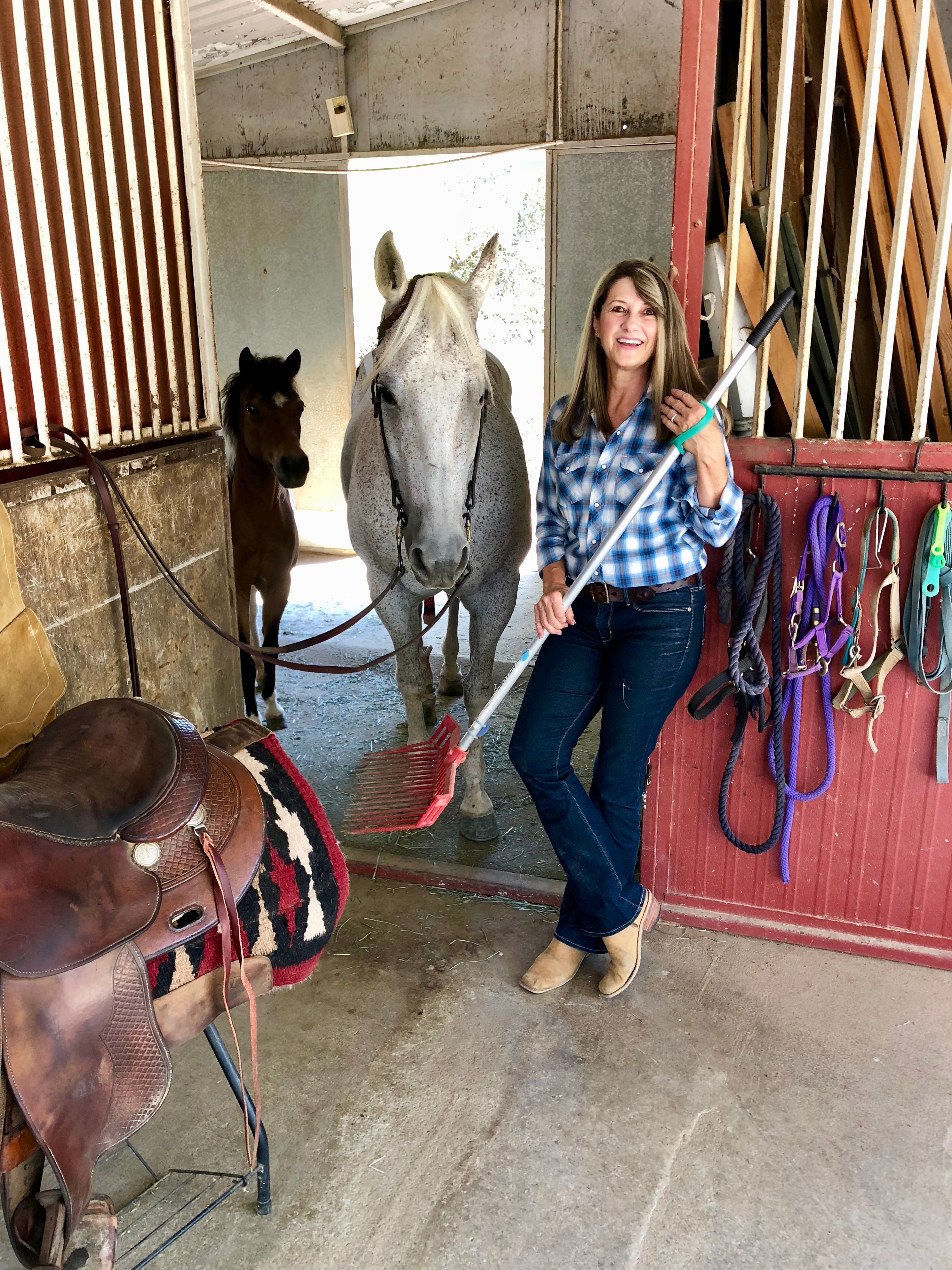 Aqua 2 pack (large with large holes)