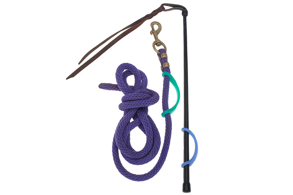 Blue 2 pack (medium with large holes)