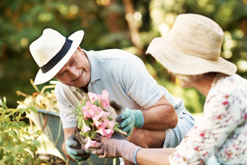 Assistive Technology In the Garden - EazyHold